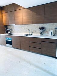 Queens Peak (D3), Condominium #498444571